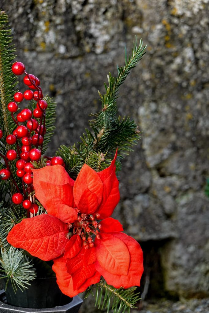 Holly flowers