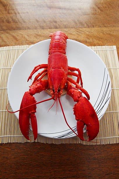 lobsters