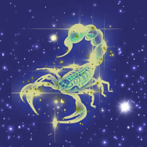 Pet Astrology