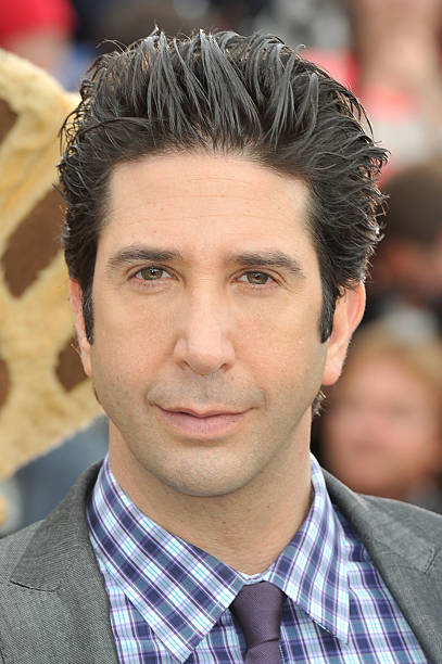 David Schwimmer