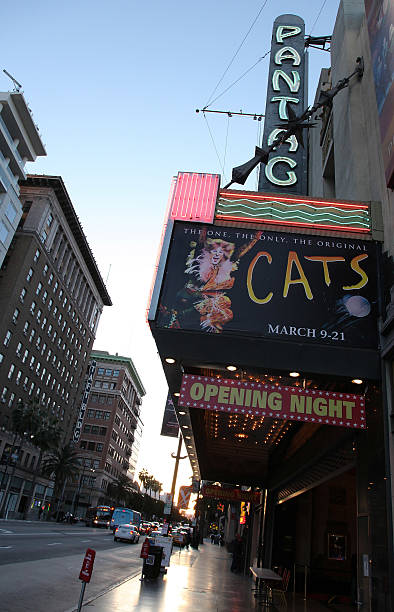 musical "Cats"